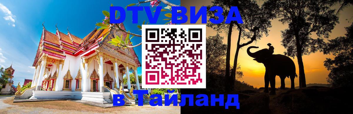Сколько стоит DTV виза — актуальные цены, оформление даже без документов - Абакан 